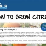 Barossa Mitre 10 - How to Grow Citrus!