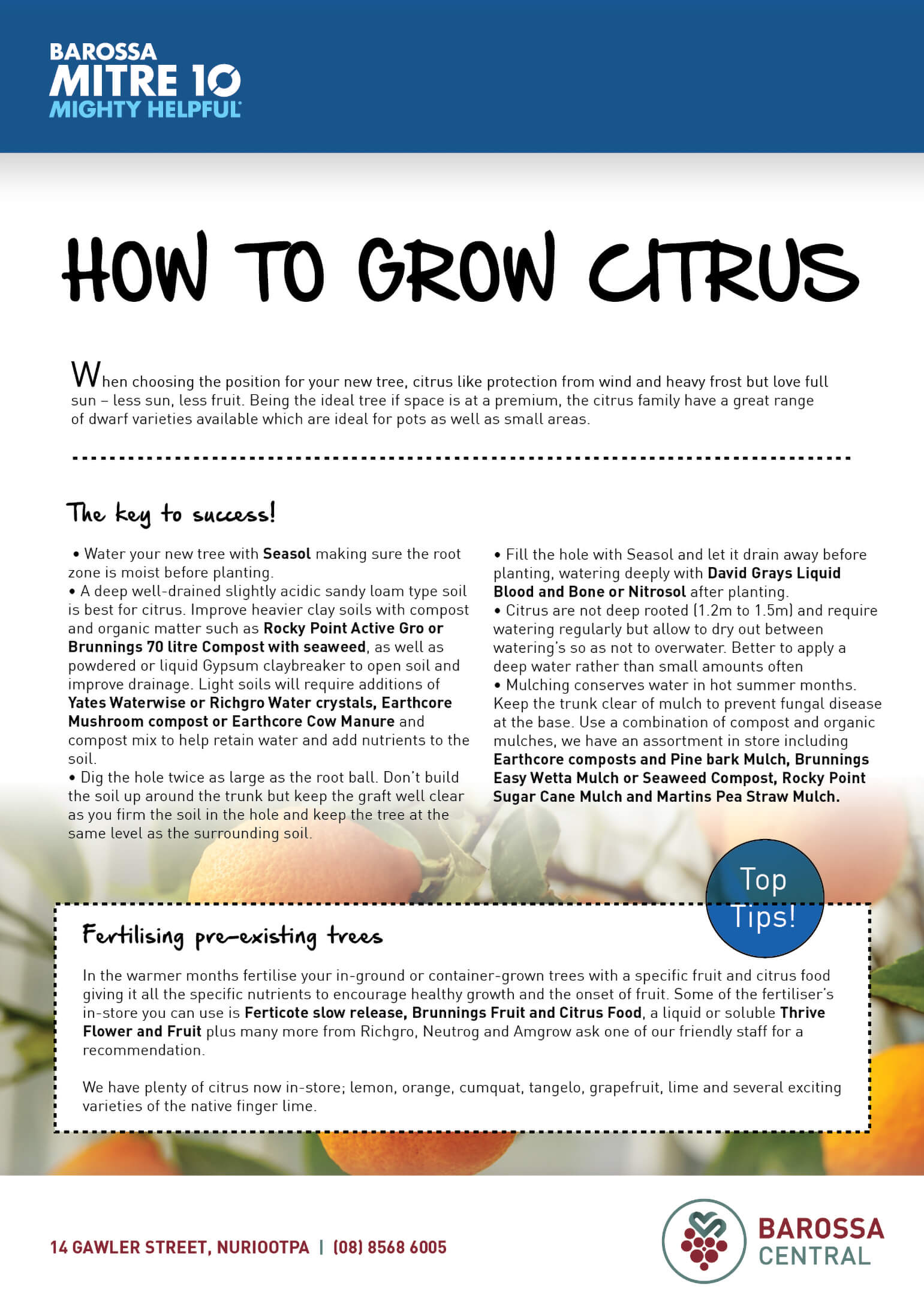 Barossa Mitre 10 - How to Grow Citrus!