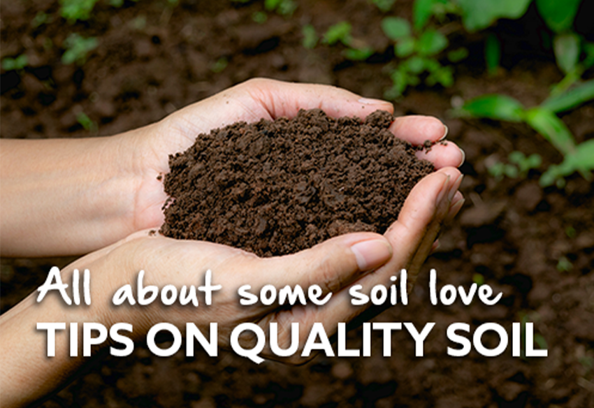 All About Some Soil Love - The Barossa Co-op